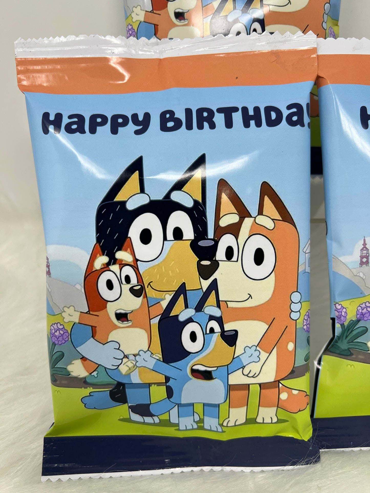 Custom Chips Bags, Bluey Birthday Chips, Birthday Chips